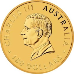 Kangaroo 1 Oz (starije godište) - Investicijski zlatnik