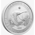 Guska - 2 Oz - srebrni investicijski novčić