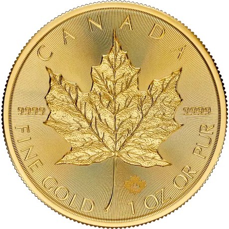 Maple Leaf (2025) - 1 Oz - Investicijski zlatnik