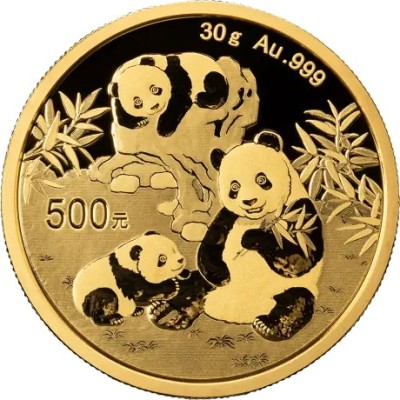 Panda (2025) - 30g - investicijski zlatnik
