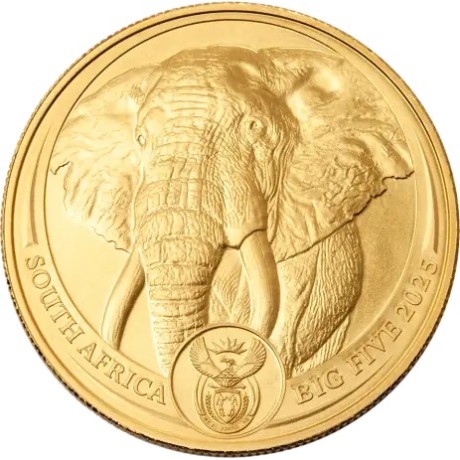 Big Five Elephant (2025) - 1 Oz - investicijski zlatnik