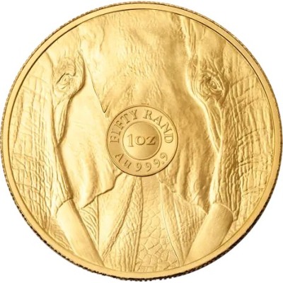 Big Five Elephant (2025) - 1 Oz - investicijski zlatnik