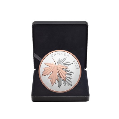 Blistavi javorov list - 10 oz - srebrni kolekcionarski novčić