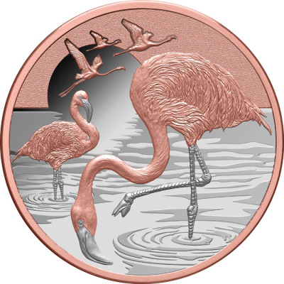 Flamingo (2025.) - 1 oz - srebrni kolekcionarski novčić