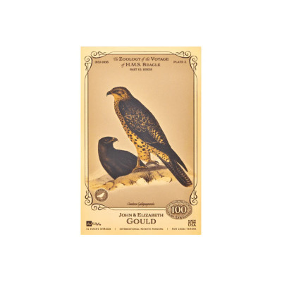 John i Elizabeth Gould Aurum - kolekcija HMS Beagle